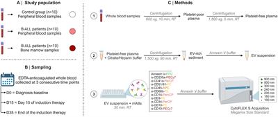 Exploring cell-derived extracellular vesicles in peripheral blood and bone marrow of B-cell acute lymphoblastic leukemia pediatric patients: proof-of-concept study